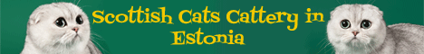 Питомник шотландских кошек в Эстонии